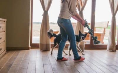 33 Jednostavna Načina Za Zabavljanje Psa U Zatvorenom