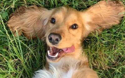 10 Savjeta Vlasnicima za Uštedu Novca