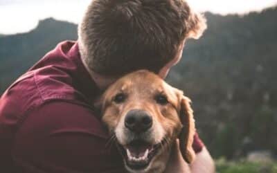 Znanstvenik Kaže Da Psi Mrze Zagrljaje. U Krivu Je. Evo Zašto.
