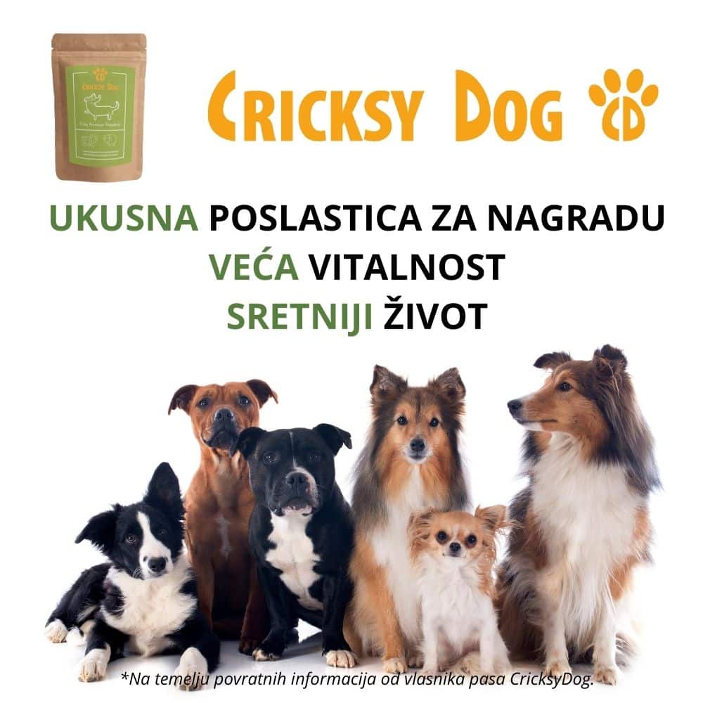 Friky Janje a Grickalica Za Pse hipoalergenski Pse i Keksi 200 G 