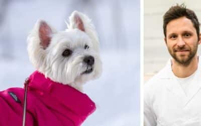 Imam 13-godišnjeg Zapadnoškotskog bijelog terijera koji je bio na sirovoj ishrani. Prešli smo na pseću hranu ali pas ima jak osip. Što da radim?