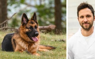 Moj 12-godišnji Njemačni Ovčar ponekad jede svoj izmet odmah nakon kakanja. Što da radim?