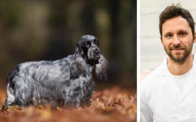 Moj štene jako brzo jede hranu. Gotovo bez žvakanja guta svoju večeru. Što mogu učiniti?