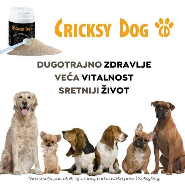 Twinky jesensko/zimski premium multivitaminski prah (s dozatorom) - 150 g - Image 6