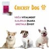 Juliet Hipoalergena suha hrana za pse od janjetine (bez pšeničnog glutena i piletine mesa, premium formula) - Slika 10