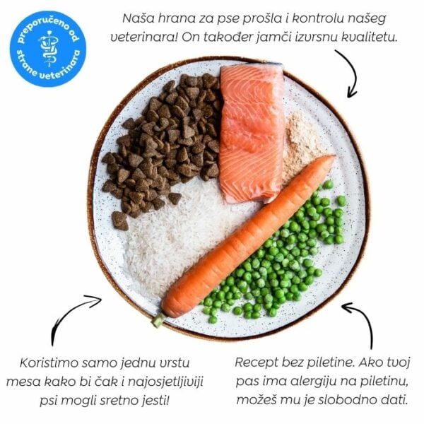 Juliet Hipoalergena suha hrana za pse od lososa (bez pšeničnog glutena i piletine mesa, premium formula) - Slika 4