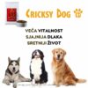 Ted Hipoalergena suha hrana za pse od govedine (bez pšeničnog glutena i piletine mesa, premium formula) - Slika 9