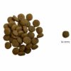 Ted Hipoalergena suha hrana za pse na bazi proteina insekata s mangom i spirulinom (bez pšeničnog glutena i piletine mesa, premium formula) - „za najosjetljivije pse” - Slika 2