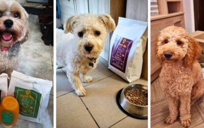 Upute za doziranje i prelazak na novu hranu za pse (početni koraci)