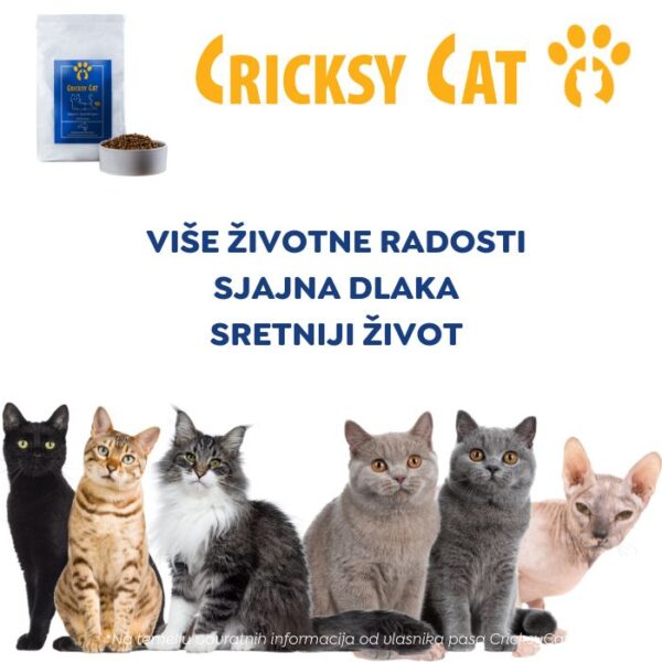 Jasper Hipoalergena Suha Hrana Za Mačke s Lososom (bez pšeničnog glutena i piletine mesa, premium formula) - Slika 8