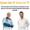 Purrfect Life Pijesak za mačke (100% prirodno) [5 kg] - Slika 7
