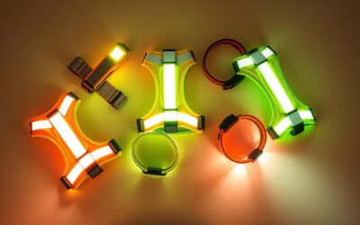 Reflektirajući pojasevi za pse – Sve što trebaš znati o tome!