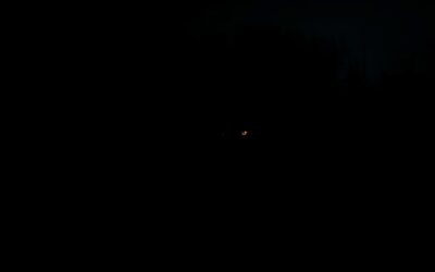 Vid pasa u mraku – Sve što trebaš znati o tome!