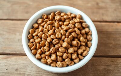 Hipoalergena hrana za pse – Sve što trebaš znati!