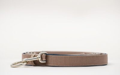 Obavezna upotreba povodca za pse – Sve što trebaš znati o tome!