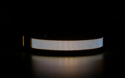 Ogrlica s reflektirajućim trakama za pse – Sve što trebaš znati o tome!