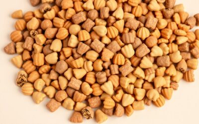 Suha hrana za pse – Sve što trebaš znati!