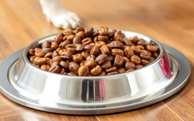 Zdjelica za hranu za pse – Sve što trebaš znati!