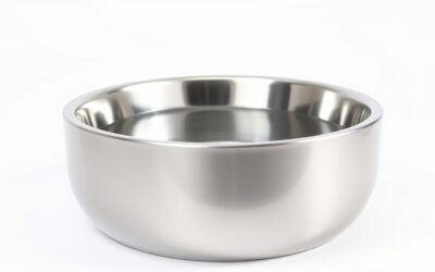 Zdjelica za vodu za pse – Sve što trebaš znati!