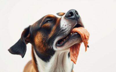 Najčešći uzroci povraćanja kod pasa – Sve što trebaš znati o tome!