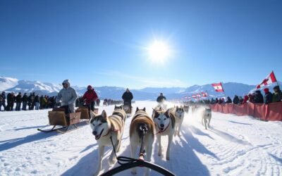 Natjecanja u vuči saonica za pse – Sve što trebaš znati o njima!