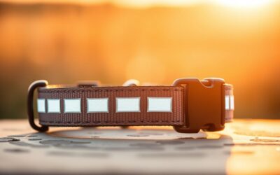 Reflektirajuće ogrlice za pse – Sve što trebaš znati o tome!