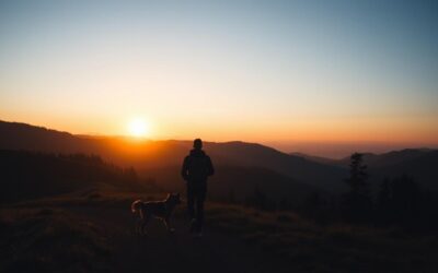 Večernje planinarenje s psom – Sve što trebaš znati o tome!