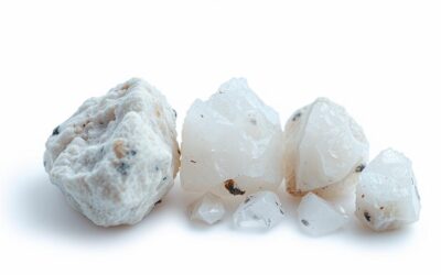 Dalmatiner bubrežni kamenci – Sve što trebaš znati o tome!