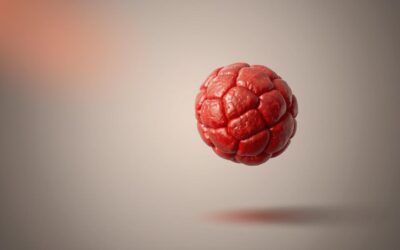 Pas hemangiosarkom – Sve što trebaš znati o tome!