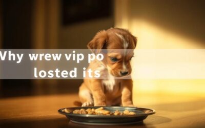 Blog 16 Zašto moje štene jede tako malo?