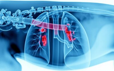 Blog 24 Suženje dišnih puteva kod psa – Sve što trebaš znati o tome!