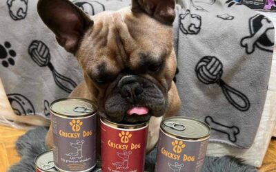 Blog 19 Pas s problemima s dlakom i CricksyDog hrana