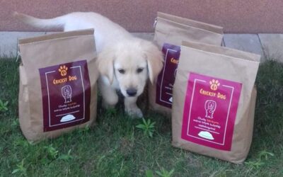 Blog 18 Iskustvo s Oscar hranom kod psa starog 10 godina