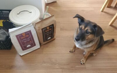 Blog 23 Povratna informacija: izbirljivi pas napokon jede s užitkom