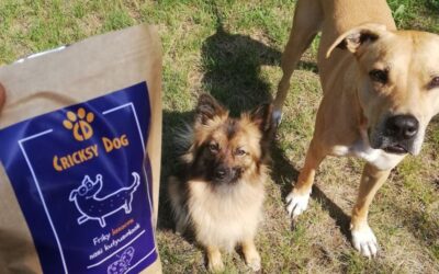 Blog 22 Povratna informacija: moj pas se više ne češe – hvala CricksyDog