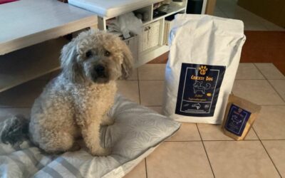 Blog 20 Zašto sam se odlučio za CricksyDog – priča jednog vlasnika psa