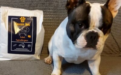 Blog 19 Što kažu stalni kupci o pakiranju CricksyDog hrane?