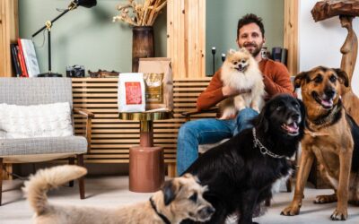 Juliet hipoalergena hrana: brza dostava, stvarne recenzije