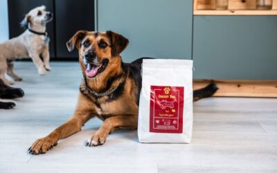 Juliet hrana pomogla kod upale uha – recenzija kupca