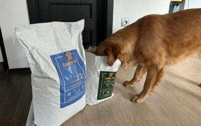 Nadopuna CricksyDog proizvoda – stižu li uvijek na vrijeme?