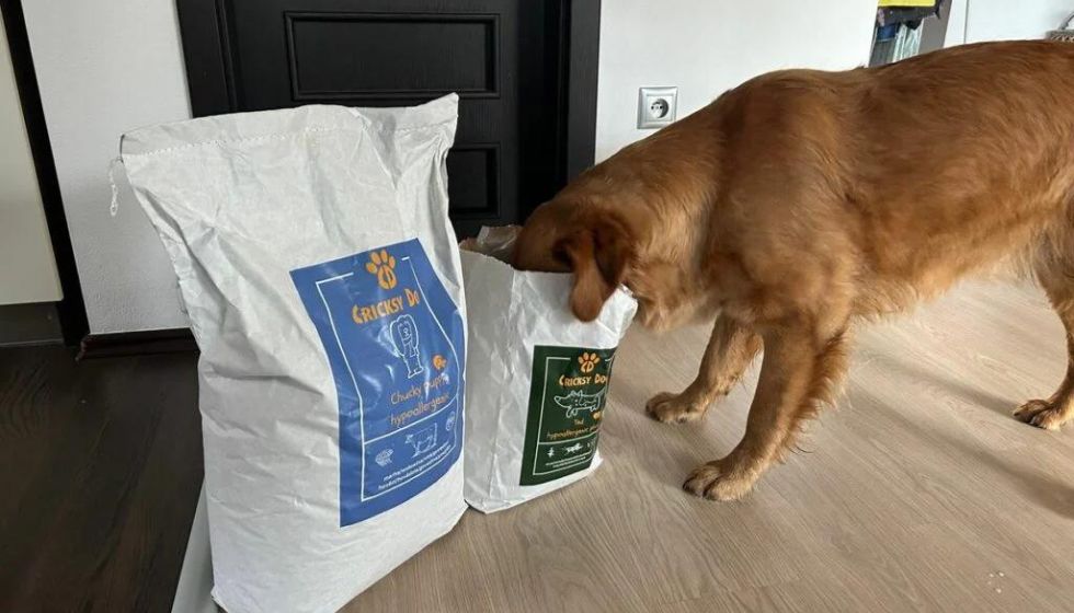 Nadopuna CricksyDog proizvoda – stižu li uvijek na vrijeme?