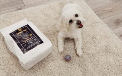 Što sam dobio na poklon uz CricksyDog narudžbu hrane?