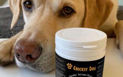 Juliet hrana za male, izbirljive pse – je li bila rješenje?