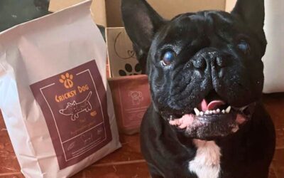 Juliet hrana i niži troškovi kod veterinara – iskustvo