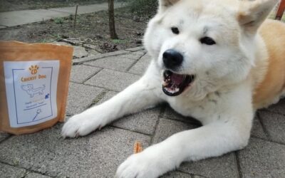 Mišljenja vlasnika: isplati li se prijeći na CricksyDog hranu?