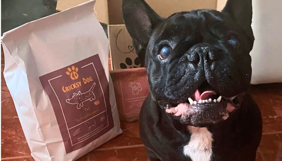 Juliet hrana i niži troškovi kod veterinara – iskustvo