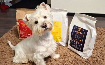 Psi koji jedu CricksyDog više od 2 godine – izjave vlasnika