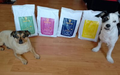 Navike pasa koje podržavaju bolju probavu