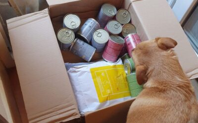 Blog 20 Juliet ili Ted – koju hranu naručiti za osjetljivog psa?