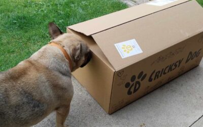 Blog 18 Kupi omiljenu CricksyDog hranu u pretplatničkom modelu